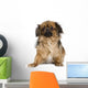 Tibetan Spaniel Wall Decal