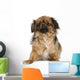 Tibetan Spaniel Wall Decal