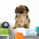 Tibetan Spaniel Wall Decal