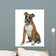 Boxer Sitting in Front of White Background Wall Decal