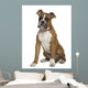 Boxer Sitting in Front of White Background Wall Decal