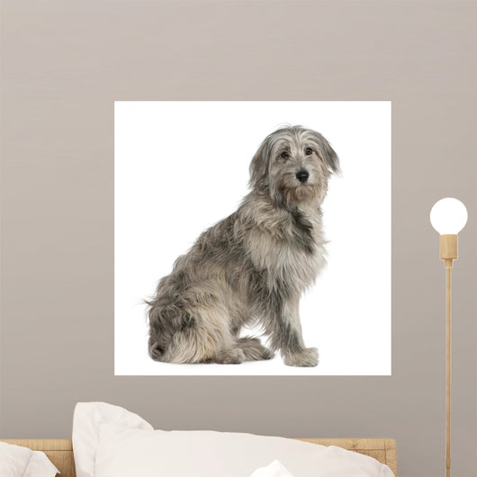 Pyrenean Shepherd Dog 7 Wall Decal