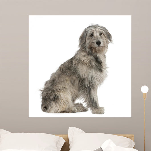 Pyrenean Shepherd Dog 7 Wall Decal