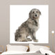 Pyrenean Shepherd Dog 7 Wall Decal