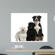 Bichon frise, Poodle and Bernese mountain dog Wall Decal