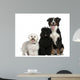 Bichon frise, Poodle and Bernese mountain dog Wall Decal
