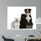 Bichon frise, Poodle and Bernese mountain dog Wall Decal