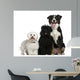 Bichon frise, Poodle and Bernese mountain dog Wall Decal