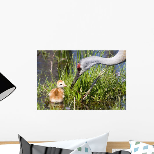 Sandhill Crane and Chick Wall Mural