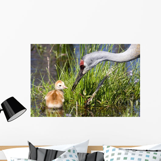 Sandhill Crane and Chick Wall Mural