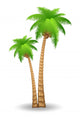 Palm Tree