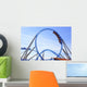 Roller Coaster Wall Mural