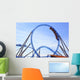 Roller Coaster Wall Mural