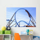 Roller Coaster Wall Mural
