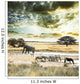 Africa