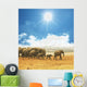Elephant Wall Mural