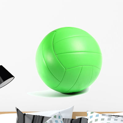 Volley Ball shown on a wall