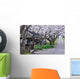 Cherry tree-lined Wall Mural