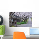 Cherry tree-lined Wall Mural