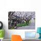 Cherry tree-lined Wall Mural