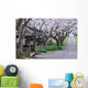 Cherry tree-lined Wall Mural