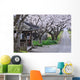 Cherry tree-lined Wall Mural