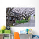 Cherry tree-lined Wall Mural