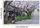 Cherry tree-lined Wall Mural
