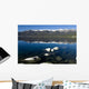 Lake Tahoe Wall Mural