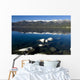 Lake Tahoe Wall Mural