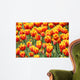 Tulpen