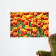 Tulpen