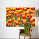 Tulpen