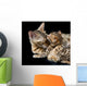 Bengal cat and kitten Wall Mural