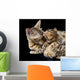 Bengal cat and kitten Wall Mural