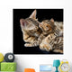 Bengal cat and kitten Wall Mural