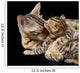 Bengal cat and kitten Wall Mural