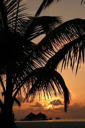 Maldives Islands Wall Decal Design 3