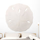 Sand Dollar White Wall Decal