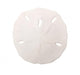 Sand Dollar White Wall Decal