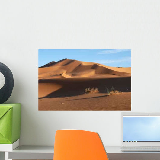 Sahara Desert Wall Decal Design 5