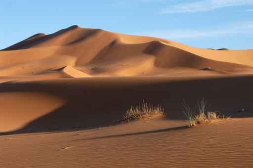 Sahara Desert Wall Decal Design 5