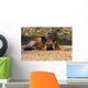German Shepherd Dog Wall Mural