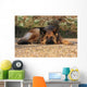German Shepherd Dog Wall Mural