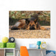 German Shepherd Dog Wall Mural