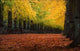 Autumn Wall Decal Design 2