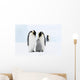 Bird Murals - Emperor penguins on the sea ice in the Weddell Sea, Antarctica Wall Mural