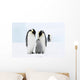 Bird Murals - Emperor penguins on the sea ice in the Weddell Sea, Antarctica Wall Mural