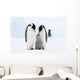 Bird Murals - Emperor penguins on the sea ice in the Weddell Sea, Antarctica Wall Mural