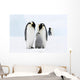 Bird Murals - Emperor penguins on the sea ice in the Weddell Sea, Antarctica Wall Mural